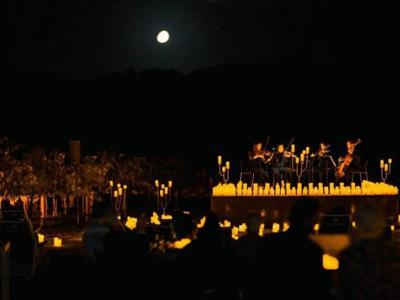 ACCADEMIE IN VALLE: TEN STRING DUO
